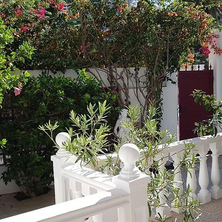 Apartamento Luminoso Con Patio Y Jardin Пуэрто-де-ла-Крус Экстерьер фото