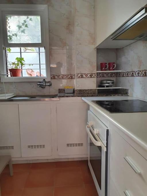 Apartamento Luminoso Con Patio Y Jardin Пуэрто-де-ла-Крус Экстерьер фото