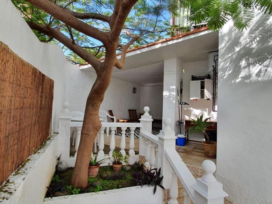 Apartamento Luminoso Con Patio Y Jardin Пуэрто-де-ла-Крус Экстерьер фото